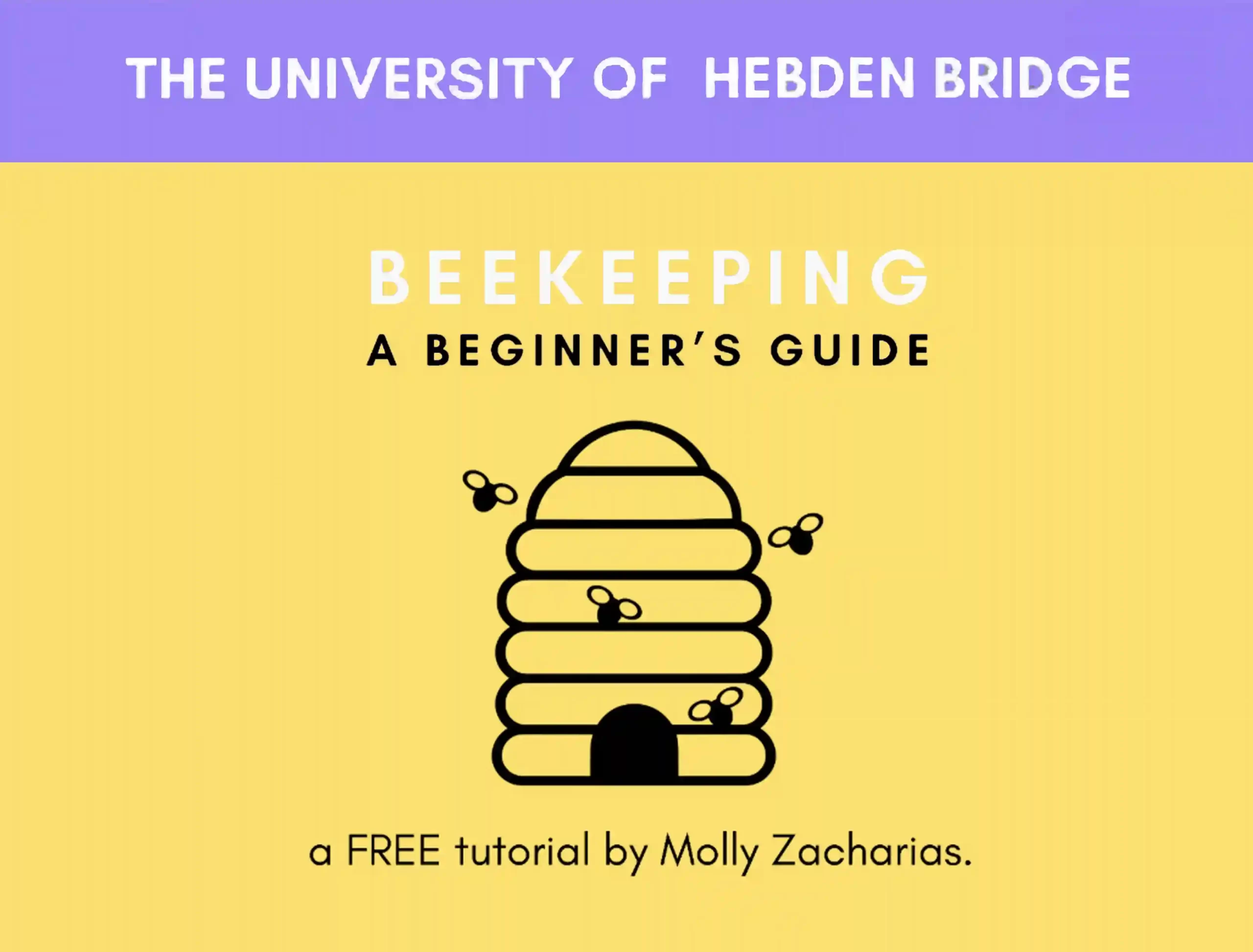 The University Of Hebden Bridge: Beekeeping - A Beginner's Guide